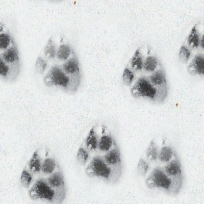 Snow Background on Wolf Tracks In The Snow Background Seamless Repeating Tile Fill