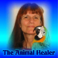 OLD AnimalHealer org