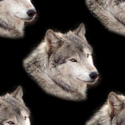 Wolf on black background Seamless Repeating Tile